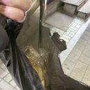 장훈베이커리 이미지