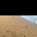 유림-1101 이미지