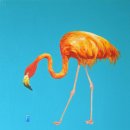 꿈의숲동물병원 이미지