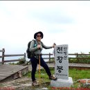 귀정사지 이미지