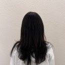 정석컨설팅 - 서귀포시 서호중앙로 55 | 정석컨설팅