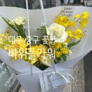 대구 중구 대봉동 꽃집 바위플라워 스튜디오 내돈내산 후기