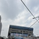 남마성마을회관 | 노량진수산시장 : 서산안면도, 수산회관 초장집 (+대방어 맛집, 3인 초장집 추천)