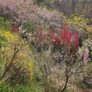 조안 농장 이미지