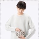 영롱한비행기 | 바오바오 파우치 PRISM 베이직 AG045 모드픽에서 만난 영롱한 실물 후기