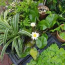 가온하우스 이미지