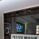 롯데미용실 - 천안시 서북구 | 롯데미용실