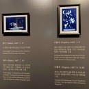 예술의 전당 한가람미술관 빛의 거장 카라바조와 바로크의 얼굴들 전시회(2025년2월22일)