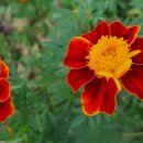 금산오락실 이미지