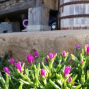 수락폭포 펜션 이미지