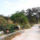 반도 태양광발전소 이미지