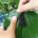 아리울농장 이미지