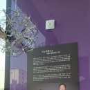 스노우폭스제주
