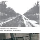 대진정비 네이버블로그