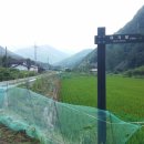 갈론사랑 이미지