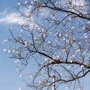 달랏(DA LAT) 이미지