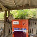 금성487 | 금성 사계절 고추건조기 충남 당진 송악읍 설치 후기