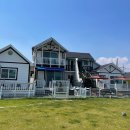 소라잡는댕댕이 이미지