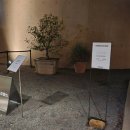 조향농원 | [대구 팝업 ] 헤이딜러x아모레퍼시픽 내차조향소 오픈첫날 웨이팅 실패 후기 (feat. mrnw 미래농원)