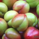 유구농장 이미지