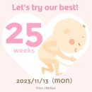 우리동네효자약국 | #32. 25주 임신일기 / 2024 달력 / 철분제 변비 / 라버리세제 / 당근 베이비뵨미니메쉬 / 어노트프롬...