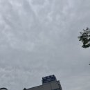 역곡큰약국 이미지