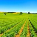 상한농장 이미지