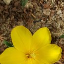 베스트카써비스 이미지