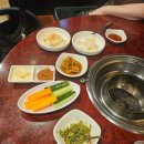 가야아나고곰장어