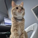 동명스크린골프존