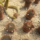 밀양시농업기술센터 이미지