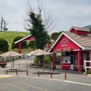 상영목장 | 증평 벨포레목장｜양 먹이체험·디노시네마 솔직후기!