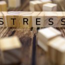 용산-이촌-2087 이미지