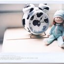 게으른오후 이미지