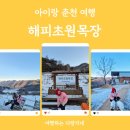 웃양지기목장 | 아이랑 춘천 겨울 여행_사진 명소 해피초원목장 (동물먹이주기·포토존·썰매)