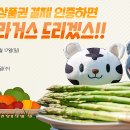 강원이벤트 네이버블로그