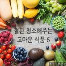 연세식품