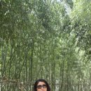 고래공원 이미지