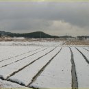 당산마을 이미지