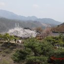 청풍명월 이미지