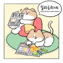 한국 구매력 기준 1인당 GDP, 처음으로 일본 추월했다 이미지