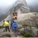 불광2-016 이미지