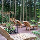 서귀포자연휴양림2 이미지