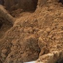 까망농장 이미지