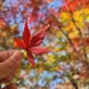 입곡군립공원(주차장옆) | 함안 아이랑 가기 좋은 단풍놀이 명소 입곡군립공원