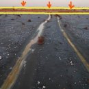 시화호수로 이미지