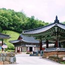 보덕사 세심다원_ 영월 장릉 근처 연꽃이 예쁜 한옥 카페 팥빙수 내돈내산 후기