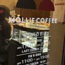 몰리프커피
