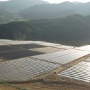 에버태양광발전소 이미지