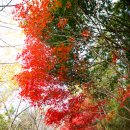 철우경로당 이미지